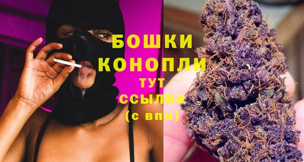 гидра Богородск