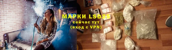 гидра Богородск