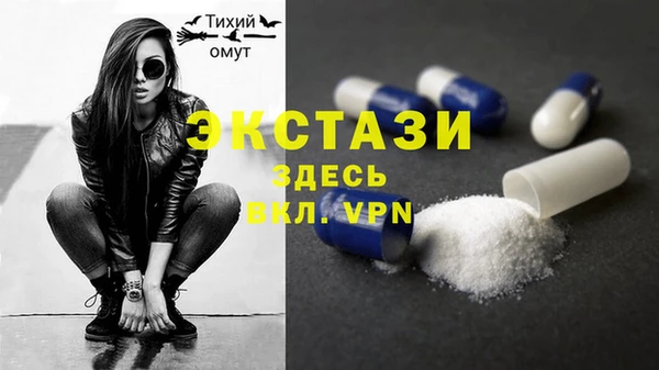 гидра Богородск