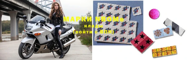 гидра Богородск