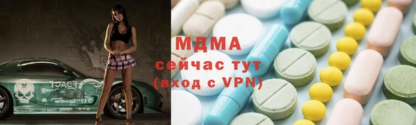 гидра Богородск