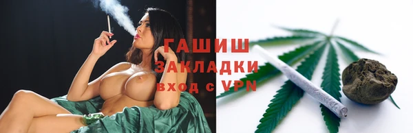 гидра Богородск