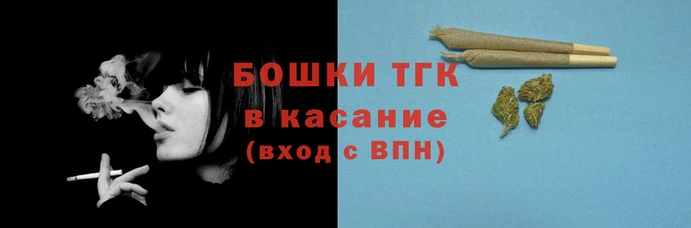 гидра Богородск
