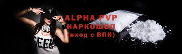 гидра Богородск