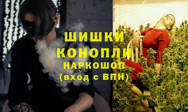 гидра Богородск