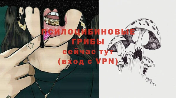 гидра Богородск