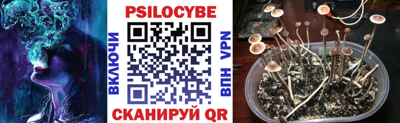 Галлюциногенные грибы мицелий  Евпатория 